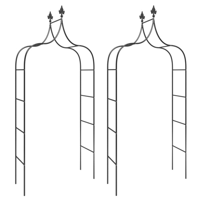 Garden Arches 2 Pcs Black 120x38x260 Cm Steel Toktak