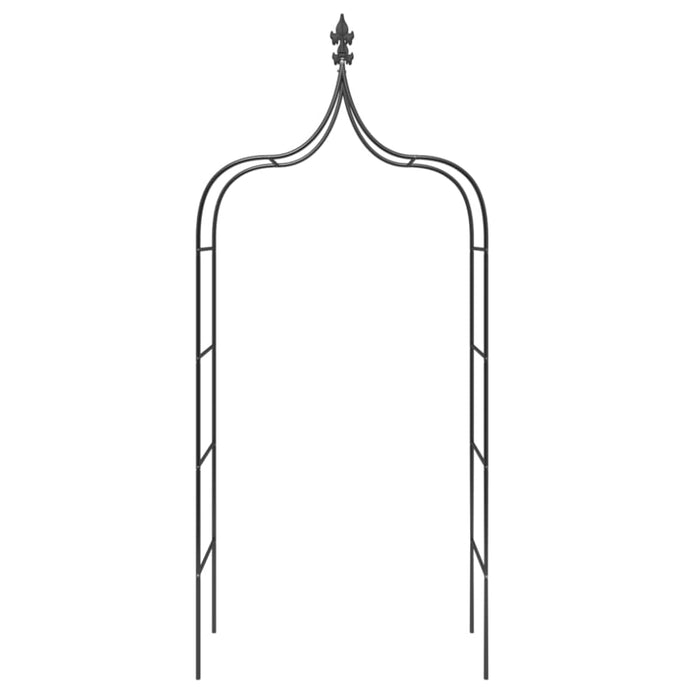 Garden Arches 2 Pcs Black 120x38x260 Cm Steel Toktak