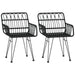Garden Chairs 2 Pcs with Armrest Black 56x64x80 Cm Pe
