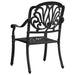 Garden Chairs 2 Pcs Cast Aluminium Black Toppln