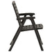 Garden Chairs 2 Pcs Plastic Anthracite Topntn