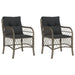 Garden Chairs With Cushions 2 Pcs Grey Poly Rattan Tlpopp