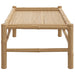 Garden Coffee Table 100x55x33 Cm Bamboo Tltapl