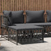 Garden Footstool with Cushion Anthracite Woven Fabric Tlaoaa