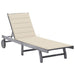 Garden Sun Lounger With Cushion Grey Solid Acacia Wood