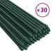 Garden Plant Stakes 30 Pcs Green 150 Cm Steel Toktib