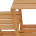 Garden Plant Stand 97x31x87 Cm Aotbx