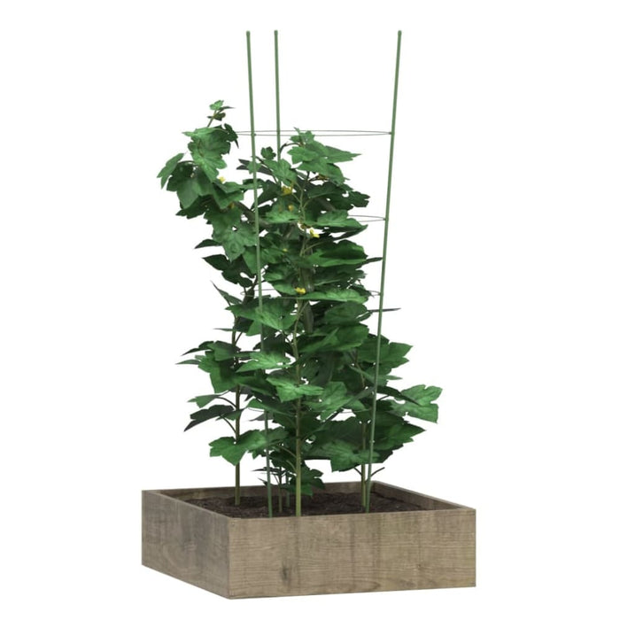 Garden Plant Supports with 4 Rings 5 Pcs Green 90 Cm Steel