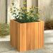 Garden Planter 25x25x25 Cm Solid Wood Acacia Tllpbb
