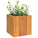 Garden Planter 25x25x25 Cm Solid Wood Acacia Tllpbb