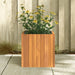 Garden Planter 35x35x35 Cm Solid Wood Acacia Tllpbo