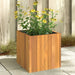 Garden Planter 35x35x35 Cm Solid Wood Acacia Tllpbo