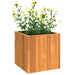 Garden Planter 35x35x35 Cm Solid Wood Acacia Tllpbo