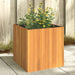 Garden Planter 45x45x45 Cm Solid Wood Acacia Tllpbx