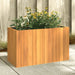 Garden Planter 59x27.5x35 Cm Solid Wood Acacia Tllpbp