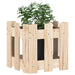 Garden Planter with Fence Design 30x30x30 Cm Solid Wood