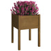 Garden Planter Honey Brown 50x50x70 Cm Solid Pinewood Nobnbp