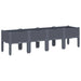 Garden Planter with Legs Grey 160x40x42 Cm Pp Tlikbo