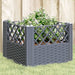 Garden Planter with Pegs Grey 43.5x43.5x43.5 Cm Pp Tlnbbk