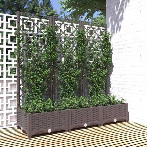 Garden Planter With Trellis Brown 120x40x121.5 Cm Pp Tonxlx