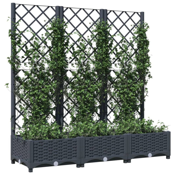 Garden Planter with Trellis Dark Grey 120x40x121.5 Cm Pp