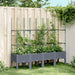 Garden Planter with Trellis Grey 160x40x142.5 Cm Pp Tliklo