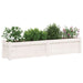 Garden Planter White 150x31x31 Cm Solid Wood Pine Ntiail