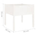 Garden Planter White 70x70x70 Cm Solid Pinewood Nobnoo