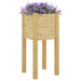 Garden Planters 2 Pcs 31x31x70 Cm Solid Pinewood Nobinb