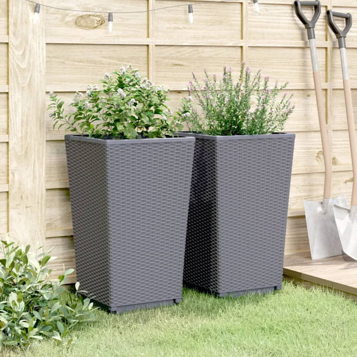 Garden Planters 2 Pcs Grey 32.5x32.5x57 Cm Pp Tlinal
