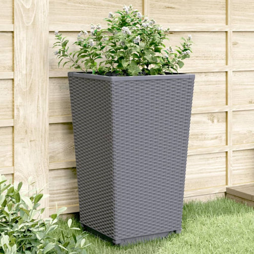 Garden Planters 2 Pcs Grey 32.5x32.5x57 Cm Pp Tlinal
