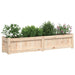 Garden Planters 2 Pcs Solid Wood Pine Ntiaip