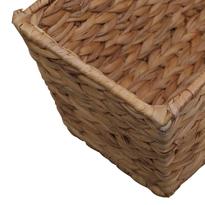 Garden Planters 2 Pcs Water Hyacinth Appnb