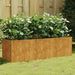 Garden Raised Bed 120x40x40 Cm Corten Steel Nxapxb