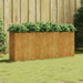 Garden Raised Bed 200x40x80 Cm Corten Steel Nxapxi