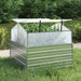 Garden Raised Bed With Greenhouse 100x100x85 Cm Silver