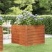Garden Raised Bed Rusty 100x100x77 Cm Corten Steel Opokan