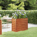 Garden Raised Bed Rusty 100x40x77 Cm Corten Steel Opokpo