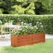 Garden Raised Bed Rusty 160x40x45 Cm Corten Steel Opokpx