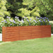 Garden Raised Bed Rusty 320x40x77 Cm Corten Steel Opokpi