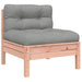 Garden Sofa with Cushions and Footstool 2-seater Ntnoip