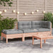 Garden Sofa with Cushions and Footstool 2-seater Ntnoip