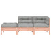 Garden Sofa with Cushions and Footstool 2-seater Ntnoip