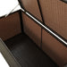Garden Storage Box Poly Rattan 100x50x50 Cm Brown Alaix
