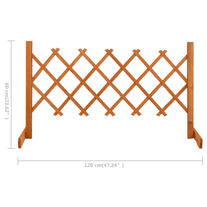 Garden Trellis Fence Orange 120x60 Cm Solid Firwood Toanxx