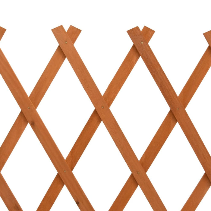 Garden Trellis Fence Orange 120x60 Cm Solid Firwood Toanxx