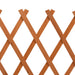Garden Trellis Fence Orange 120x60 Cm Solid Firwood Toanxx