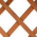 Garden Trellis Planter Orange 45x30x74 Cm Solid Firwood