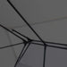 Gazebo Anthracite 300x400 Cm Aaipa