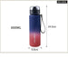 Gradient Colour Portable Water Bottle